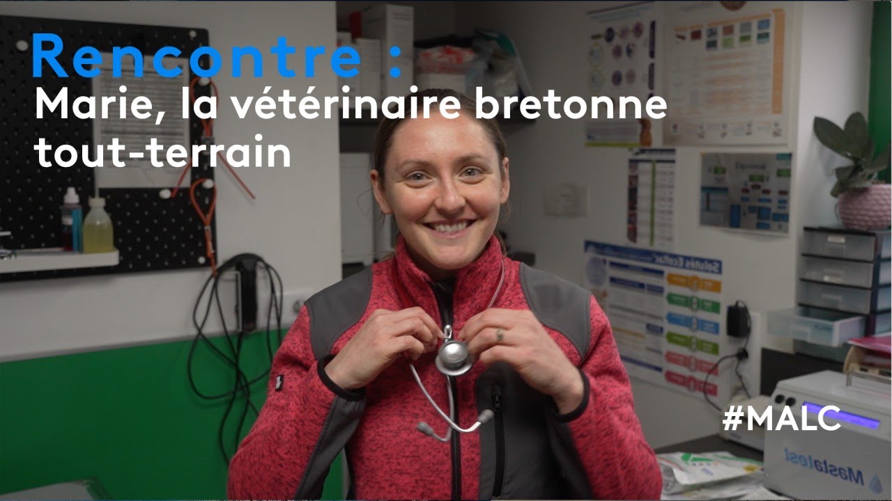 Rencontre : Marie, la vétérinaire bretonne tout-terrain