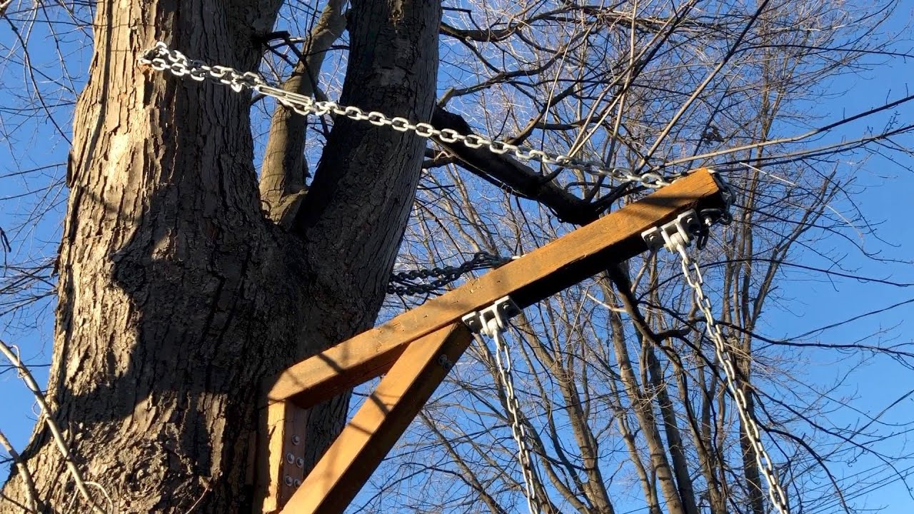 Installing a tree swing