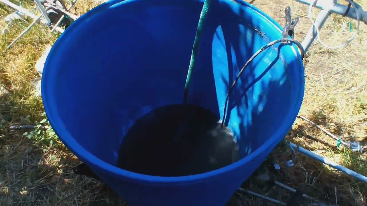 #2 2022 outdoor grow, How to grow big in 2 weeks