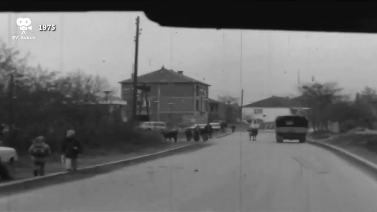 Gostivari i viteve 1975