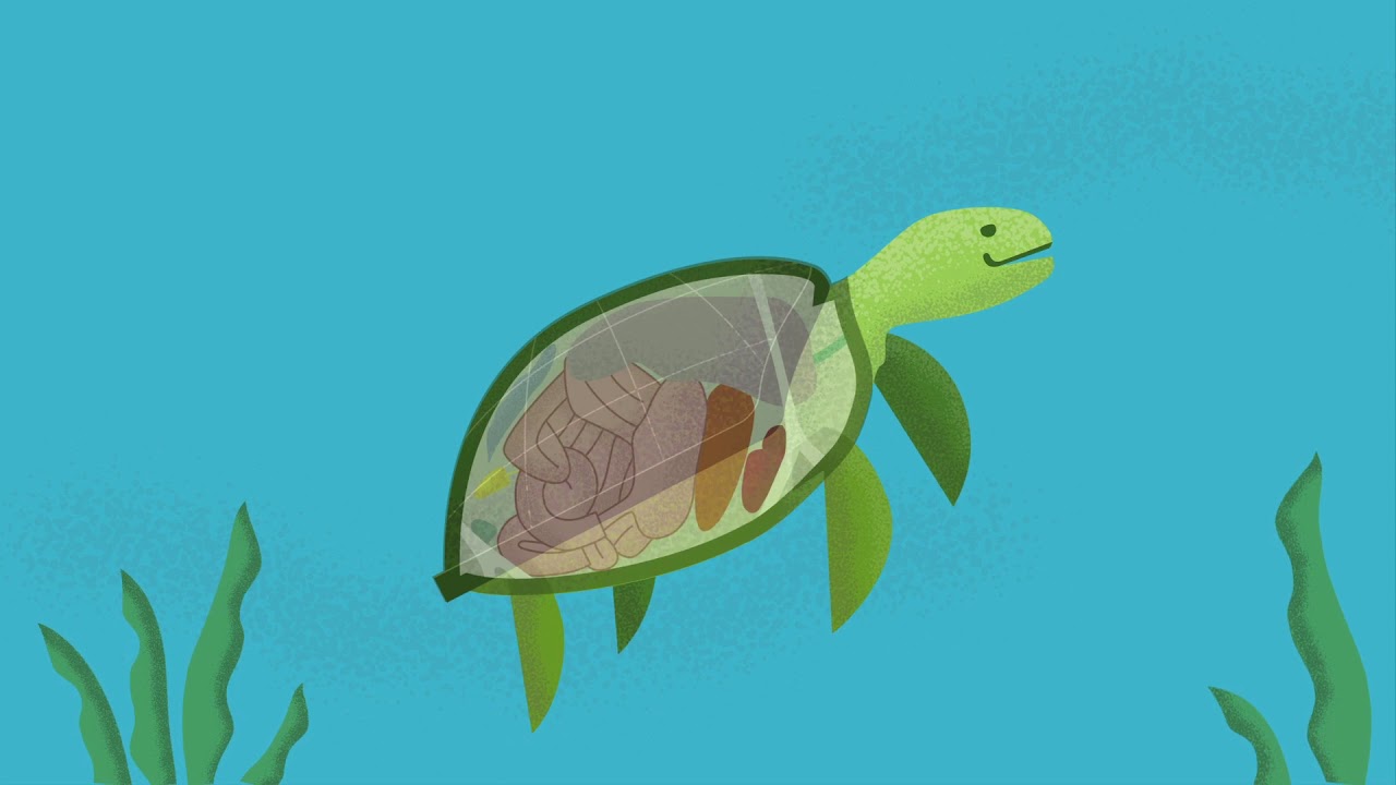 The Problem With Ocean Plastic | Canadian Geographic