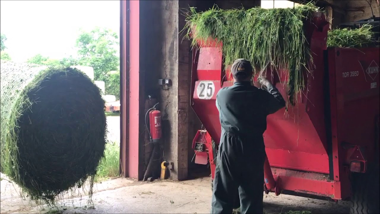AFFOURAGEMENT EN VERT EN OVIN LAIT
