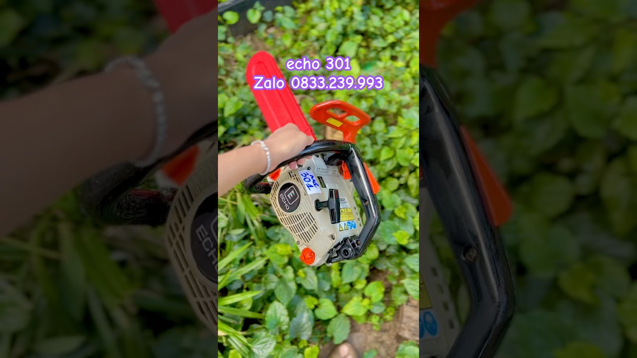 Máy cưa xích Echo301 mini tỉa cành 
