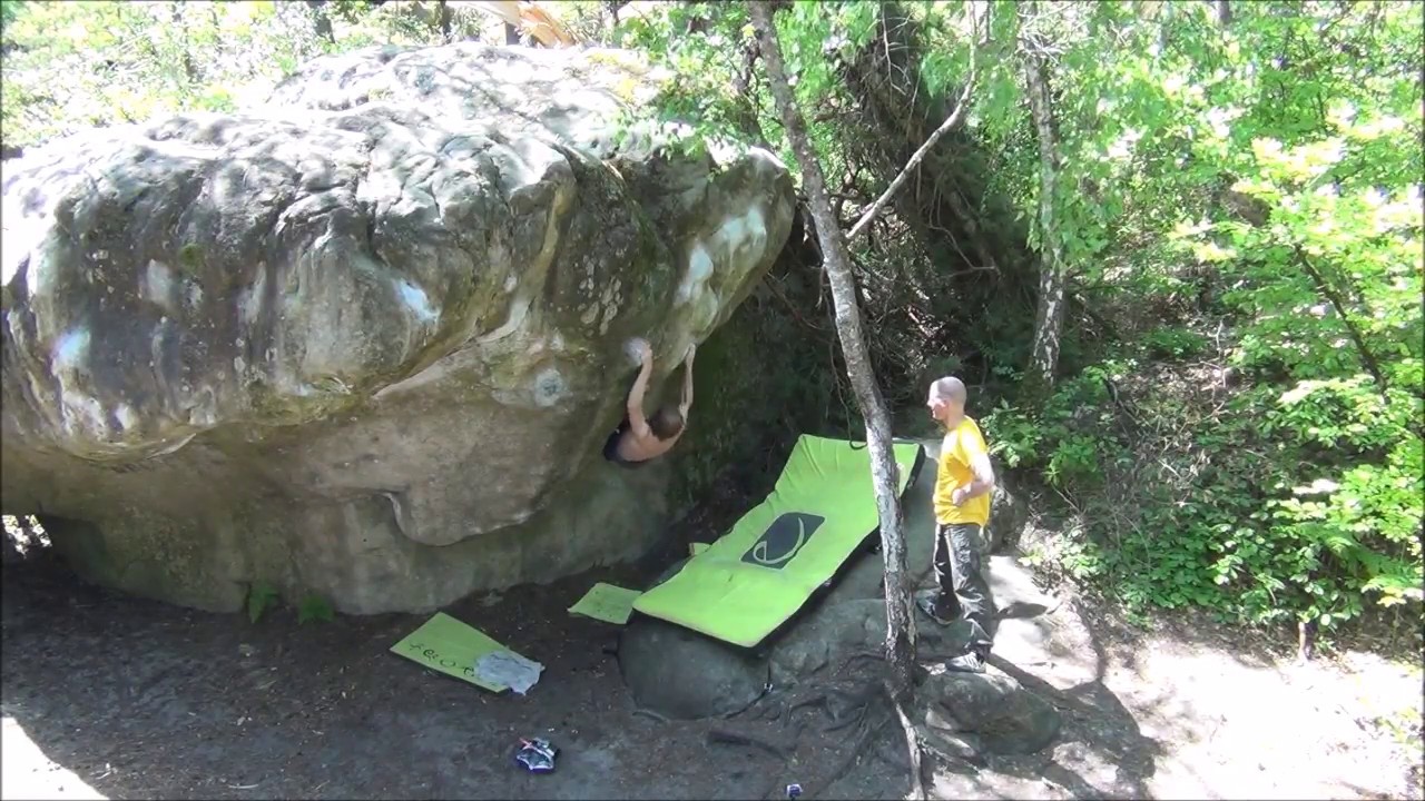 Fontainebleau - Cuvier - Holey Moley (assis) 7B
