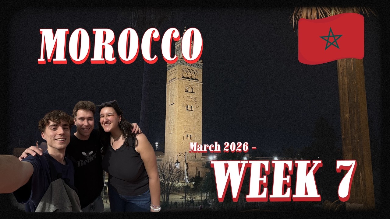 🇲🇦 EP 7 : AGADIR, MARRAKECH ET DES CHATS (partout)