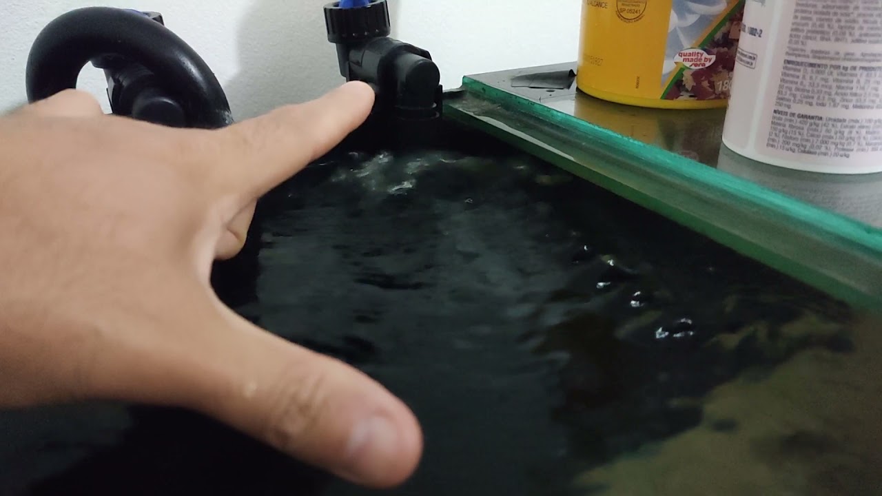 Canister não agita a superfície da água?