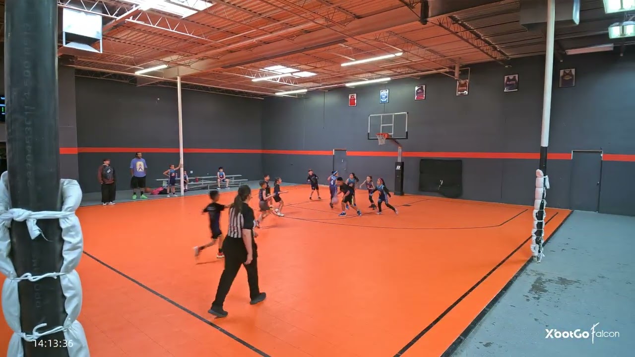 Lil vibechexk vs Lions 2026 winter season (W)