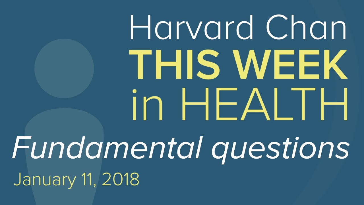 Fundamental questions