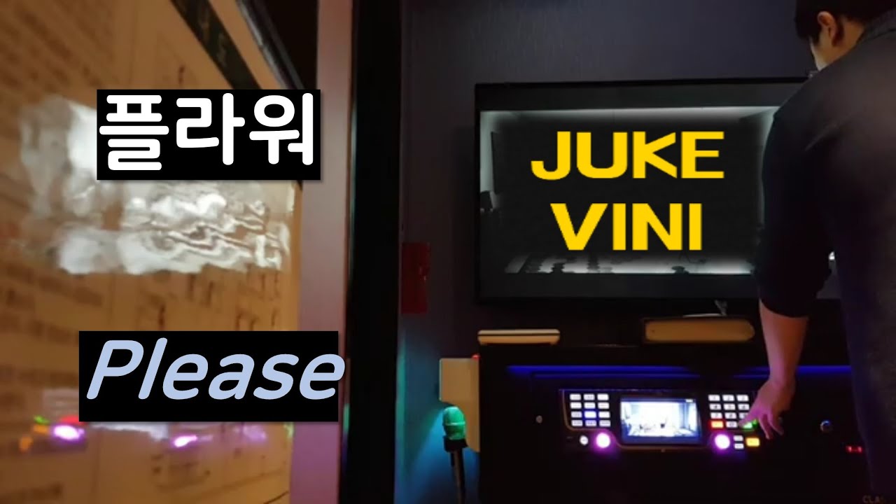 [노래방 라이브]플라워-Please[일반인]