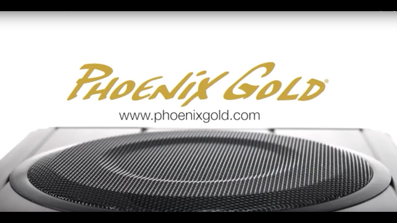 Phoenix Gold Z 8150 Slim Amplified 8&rdquo; Enclosed Subwoofer