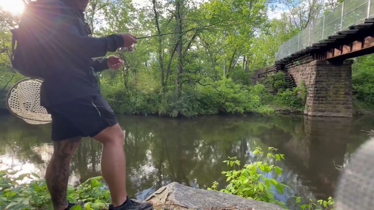 I Tested The Mini Trout Magnet