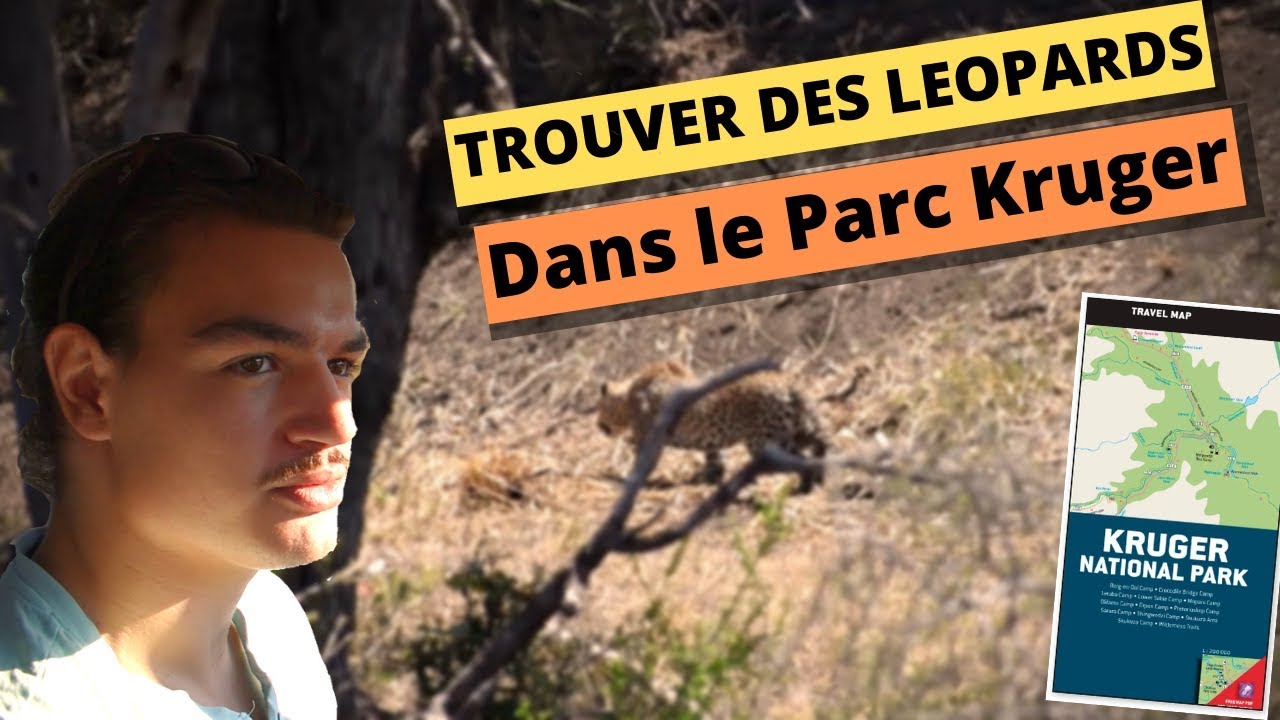 UNE JOURNEE AU PARC KRUGER - 13 HEURES DE SAFARI