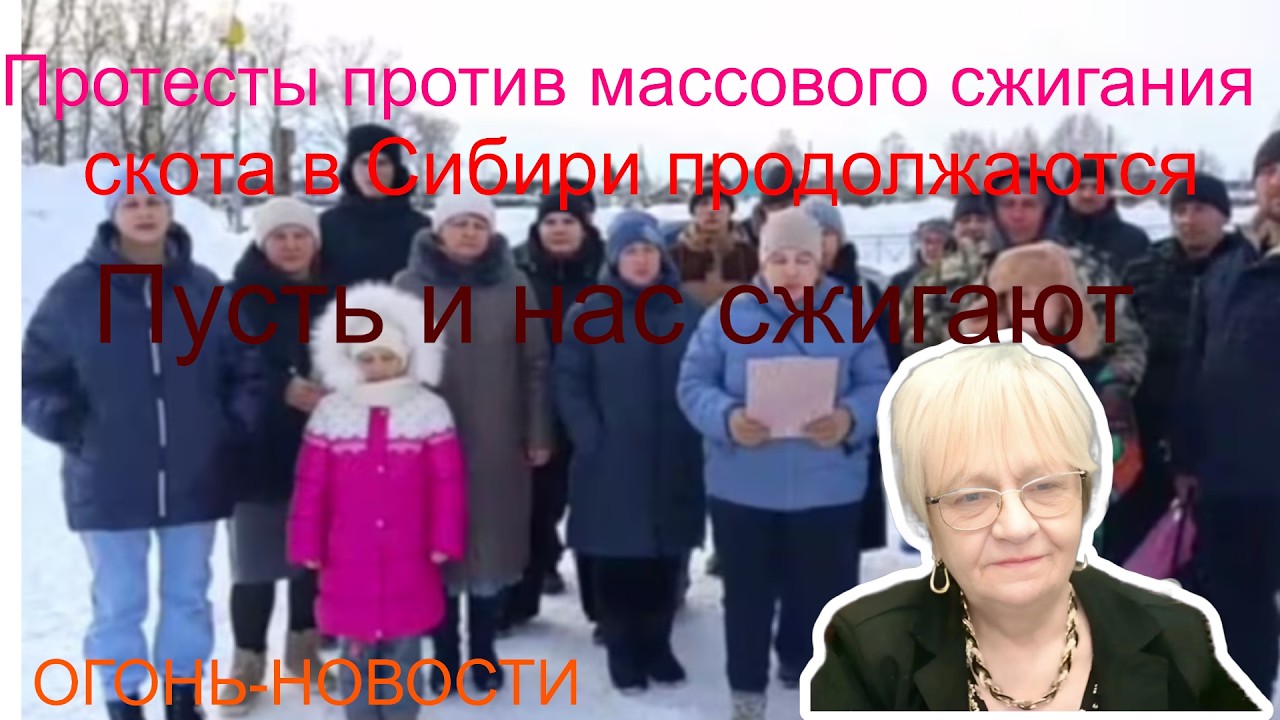 Огонь-новости. Сжигайте нас вместе с нашими коровами! - говорят крестьяне Новосибирской области