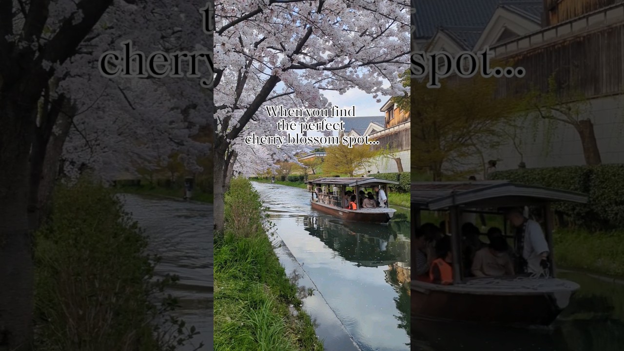 Kyoto's hidden photoshoot spot...Fushimi Jukkokubune! 