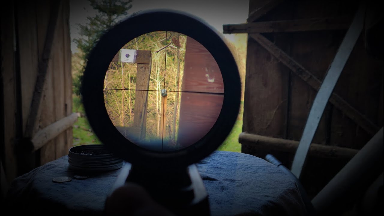 Hatsan 90 + BSA 3-9x32 30/30 Shot 45m.