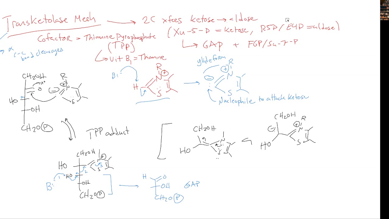 CHEM 407 - Pentose Phosphate Pathway - 4 - Transketolase Mechanism
