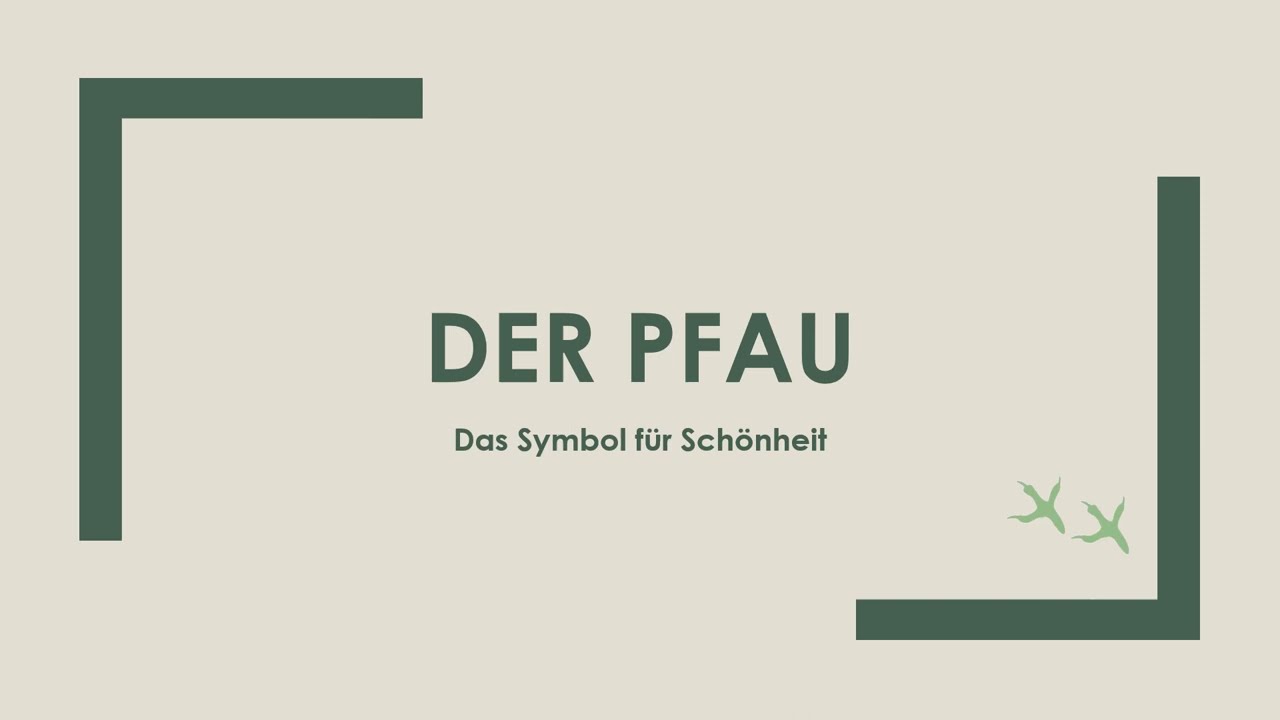 Der Pfau einfach und kurz erkl&auml;rt