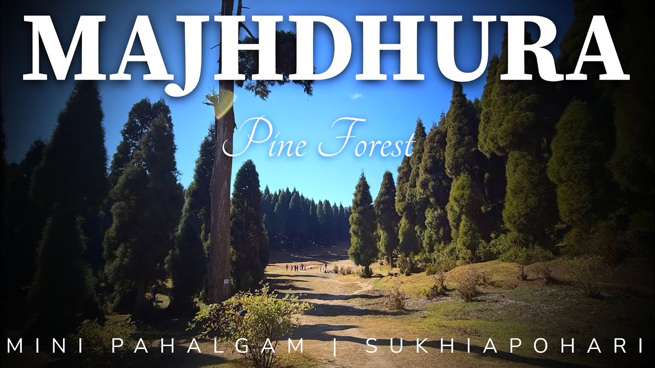 Majhdhura Pine Forest | Mini Pahalgam of Sukhiapokhari, Darjeeling 🌲