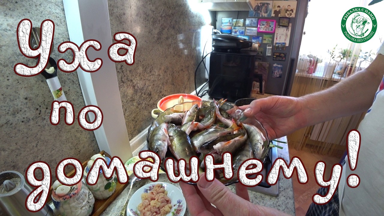 УХА ИЗ СВЕЖИХ ОКУНЕЙ ПО ДОМАШНЕМУ! ГОТОВИМ С ВАМИ У МЕНЯ НА КУХНЕ, ПРОСТО, БЫСТРО И ОЧЕНЬ ВКУСНО!