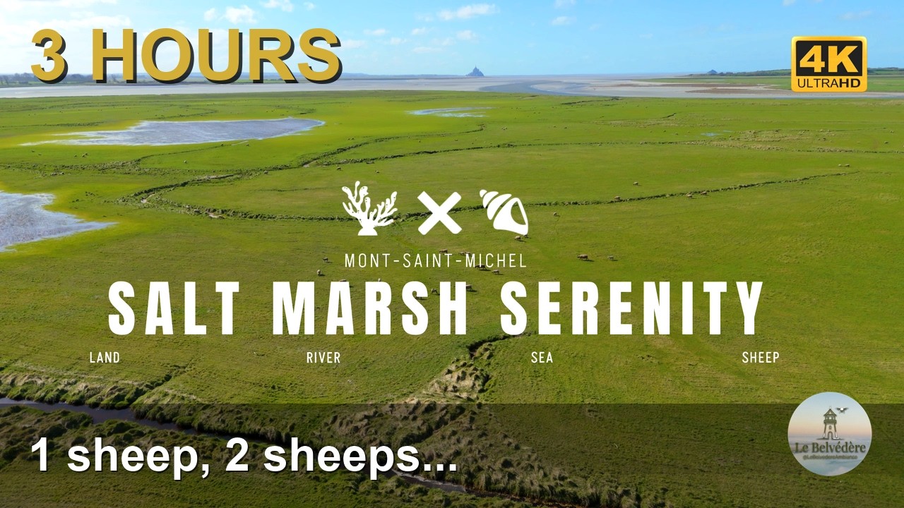 Mont-Saint-Michel Salt Marshes 🐑 3 HOURS Relaxing Drone Flight 4K UHD | Sheep & Serenity in France