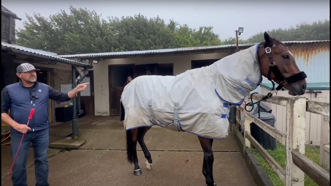 Horse purchase gone wrong!! Financial Disaster!!