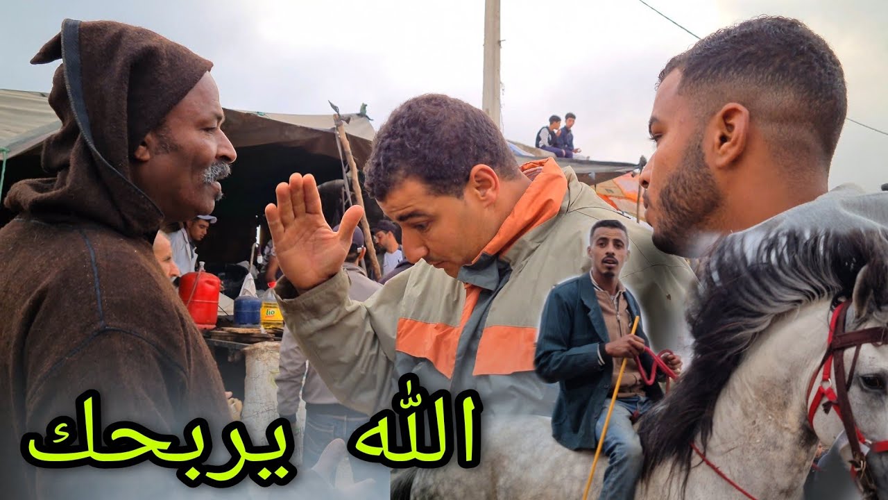 سوق سطات البيع و شراء مباشرة امام عيني📸😍  على جدع دهم  مليح شراه بدريس بتمان مناسب 🤫