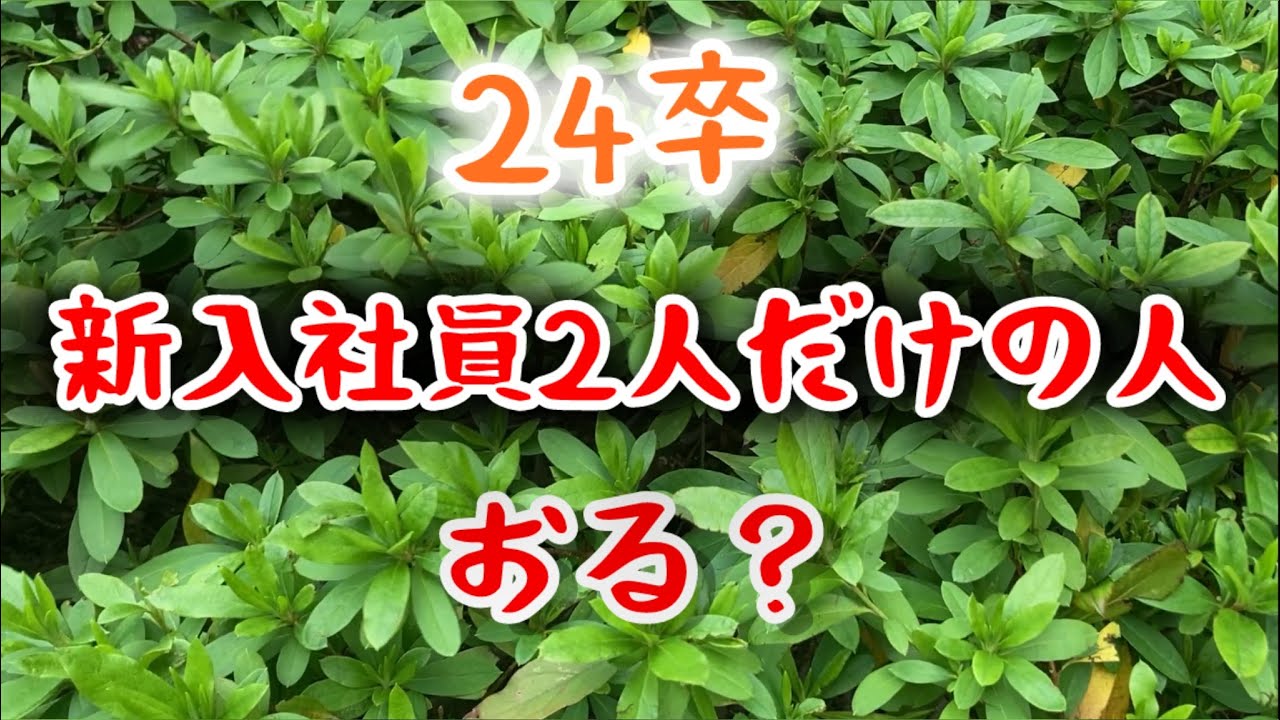 【24卒】工場に新入社員2人だけってめちゃくちゃ少なくね...