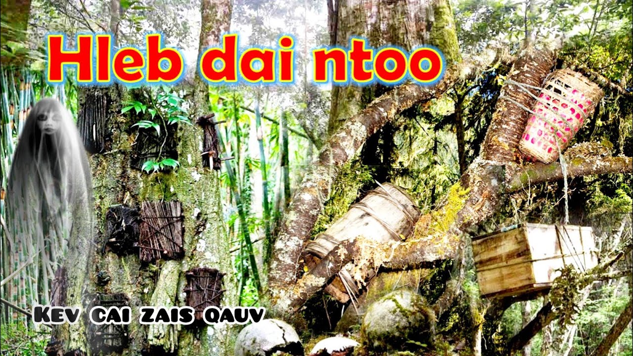 Hleb dai ntoo thiab lwm cov kev cai zais qauv ua txawv / Top strange funeral (Hmong version)