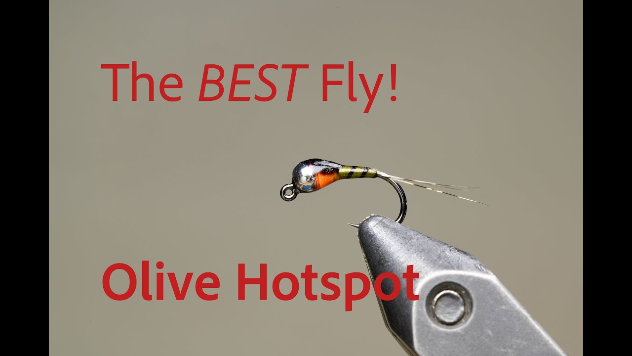 Olive Hotspot