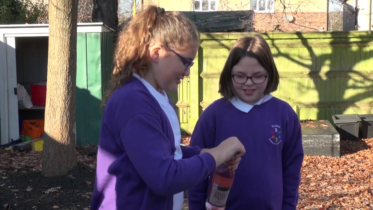 Portfield Primary Academy : What is Good and Bad