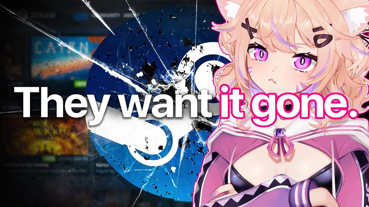 Steam is getting sued and we are paying for it