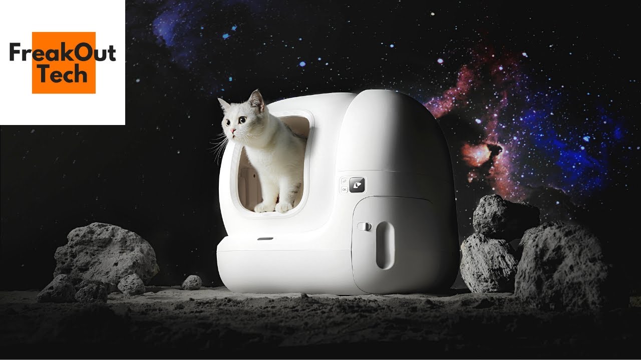 5 Incredible Inventions Your Cat Will Love