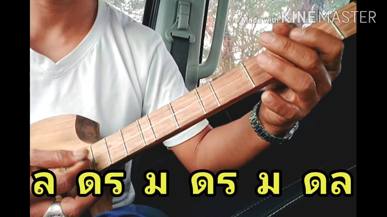 สอนพิณลายลำซิ่ง (เพลง สาวลำซิ่งcover)