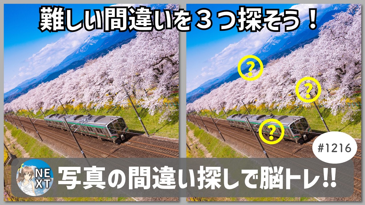 『間違い探し』写真で脳トレ！ #1216 「桜並木と電車」「トーチバーナー」「きのこの味噌汁」【高難易度】｜Find the difference game in photos