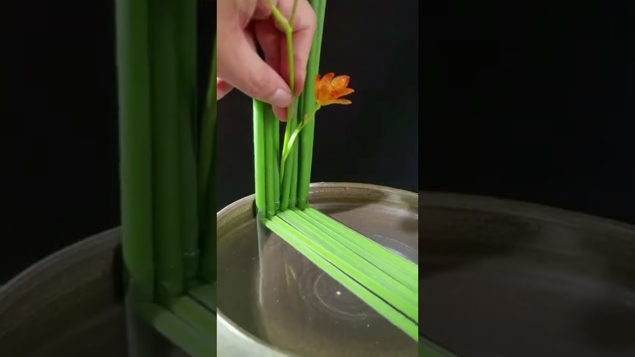 Ikebana - Flower Arrangement Compilations