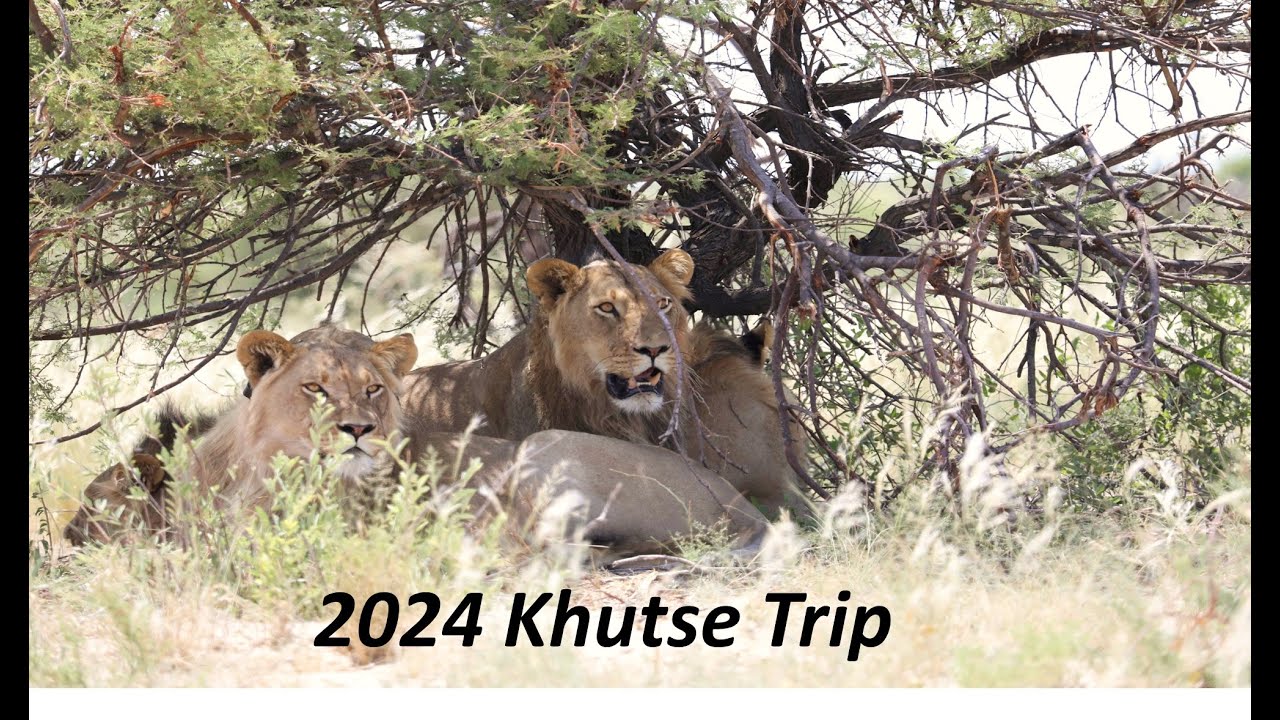 2024 Central Kalahari Game Reserve (CKGR) - Khutse - Short Trip