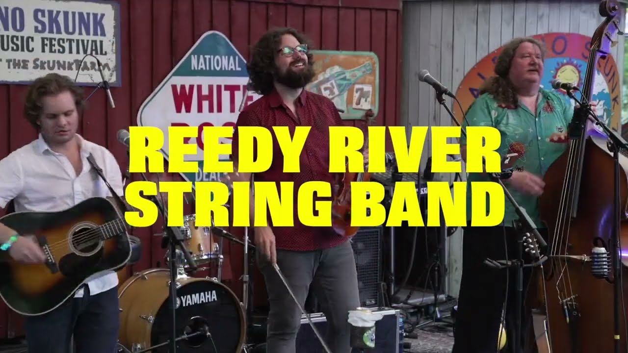 Reedy River String Band live at the Albino Skunk Festival