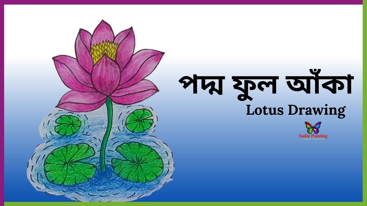 how to draw lotus flower | পদ্ম ফুল আঁকা | drawing tutorial