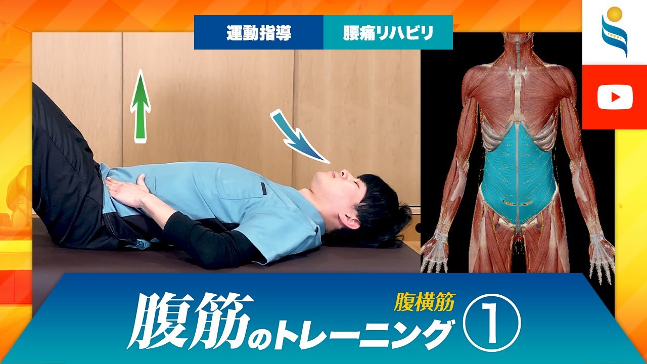 【腰痛リハビリ・運動指導】腹筋の筋力トレーニングその1【腹横筋（ふくおうきん）】