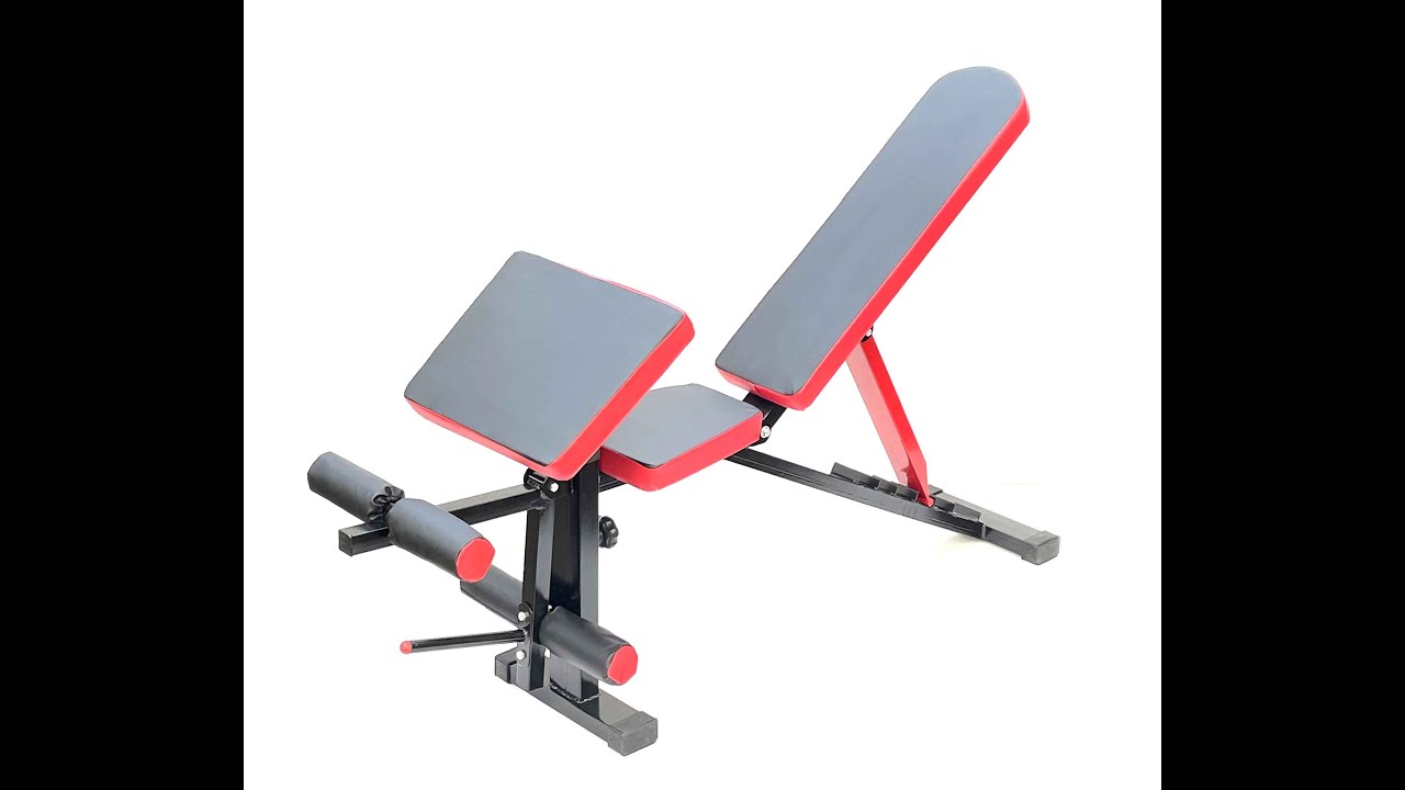 Protoner Adjustable bench with preacher curl