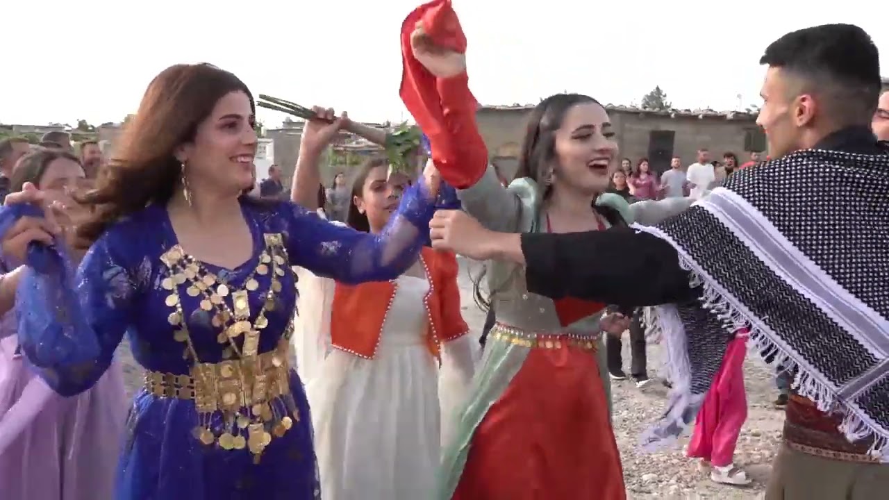 Daweta Serbest-Cahide Gund mijin akduman köyü halay #dawet#kurdistan @Bcccx.ww234  @edipcan7884