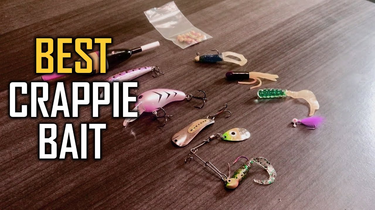 Top 5 Best Crappie Bait Review in 2023