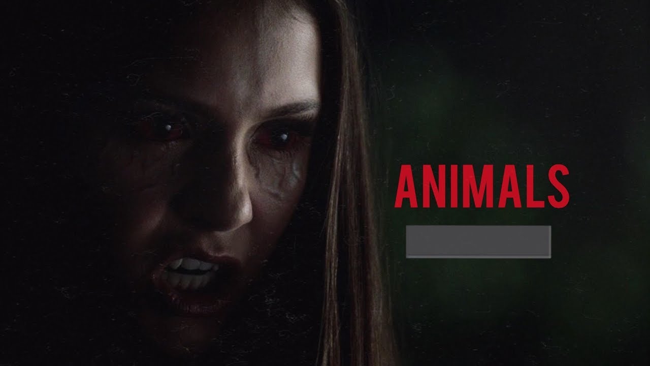 ANIMALS |⚜Elena Gilbert⚜