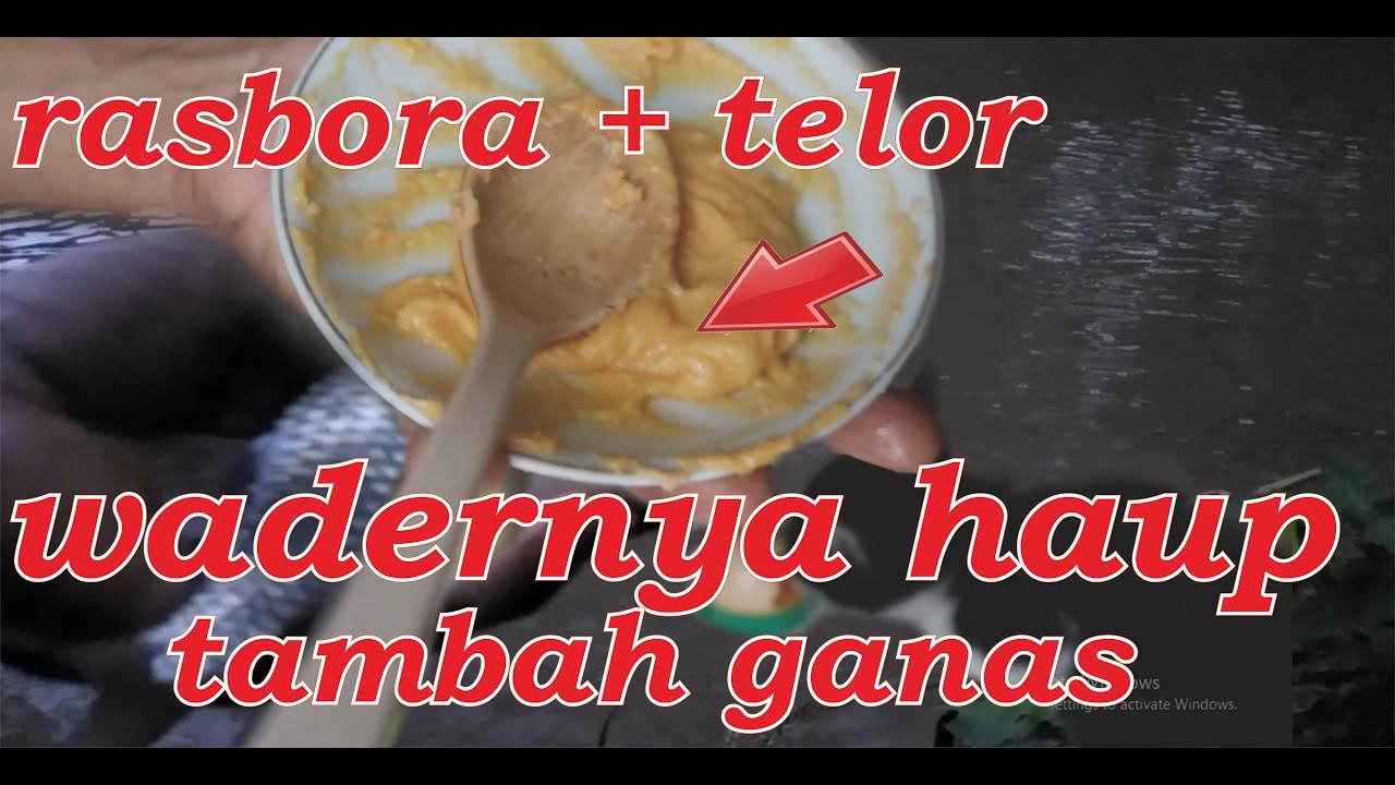 Resep baru terbukti ampuh umpan Rasbora + telur ayam kreasi sendiri haup ikannya