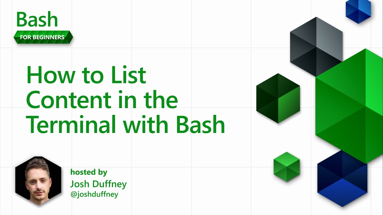 Как вывести список содержимого терминала с помощью Bash [6 из 20] | Bash для начинающих