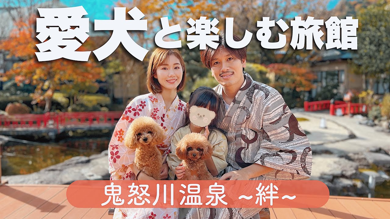 【Vlog】2度目の宿泊！ペットと泊まれる素敵すぎる旅館へ/紅葉時期【栃木県日光市鬼怒川】