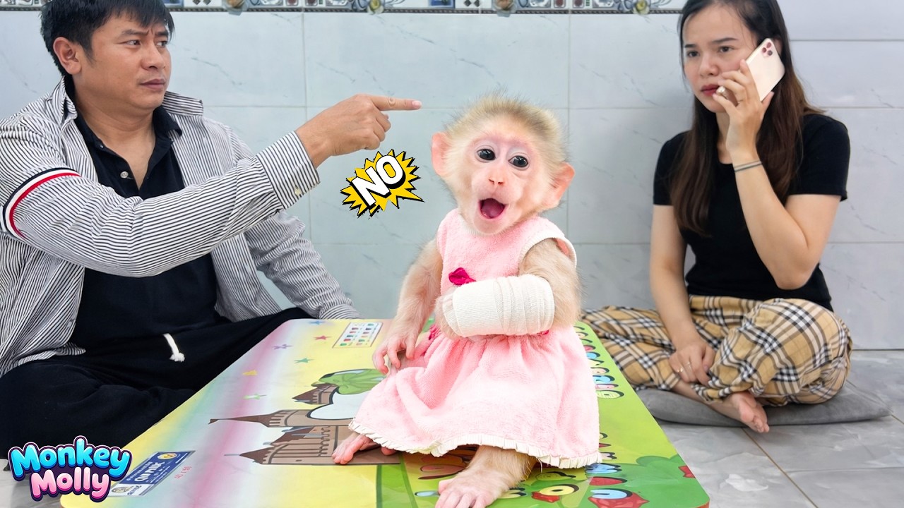 The painful moment for Monkey Molly when Dad disagrees with Mom about raising her
