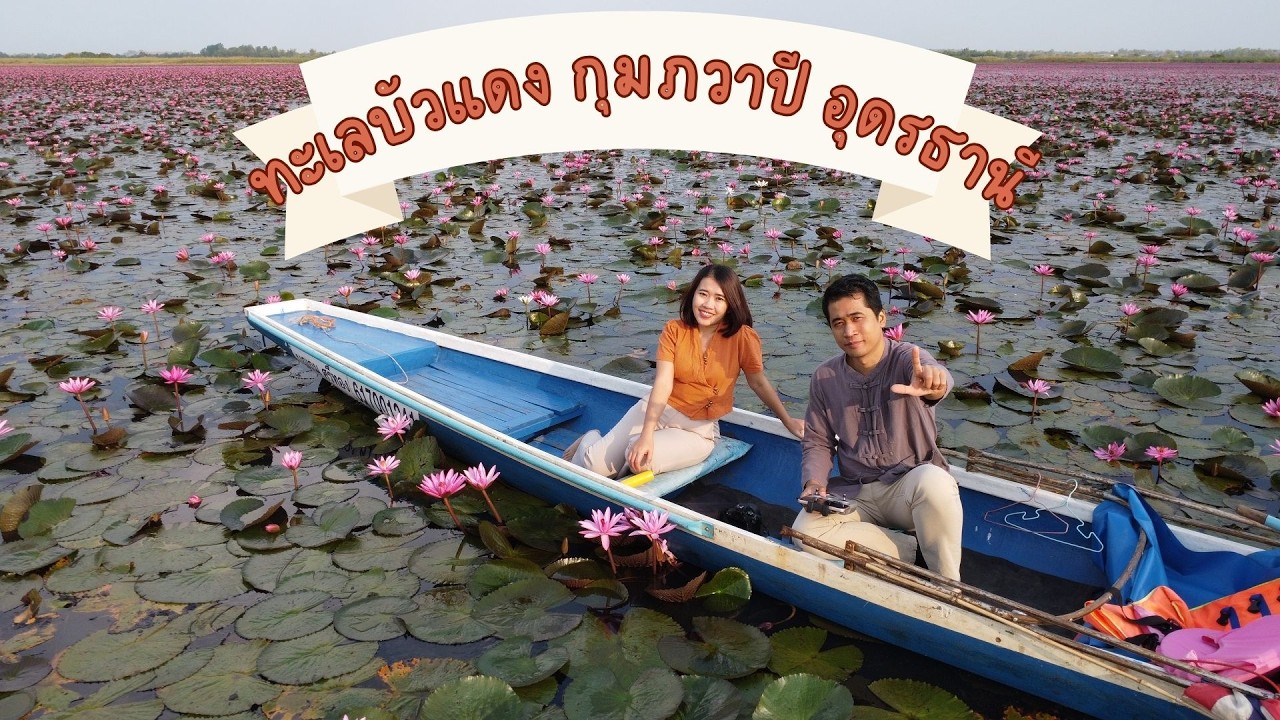 ล่องเรือชมความงดงามของทะเลบัวแดง หนองหานอุดรธานี #ฤดูกาลท่องเที่ยว #ตามรอยลิซ่า #เที่ยวตามลิซ่า
