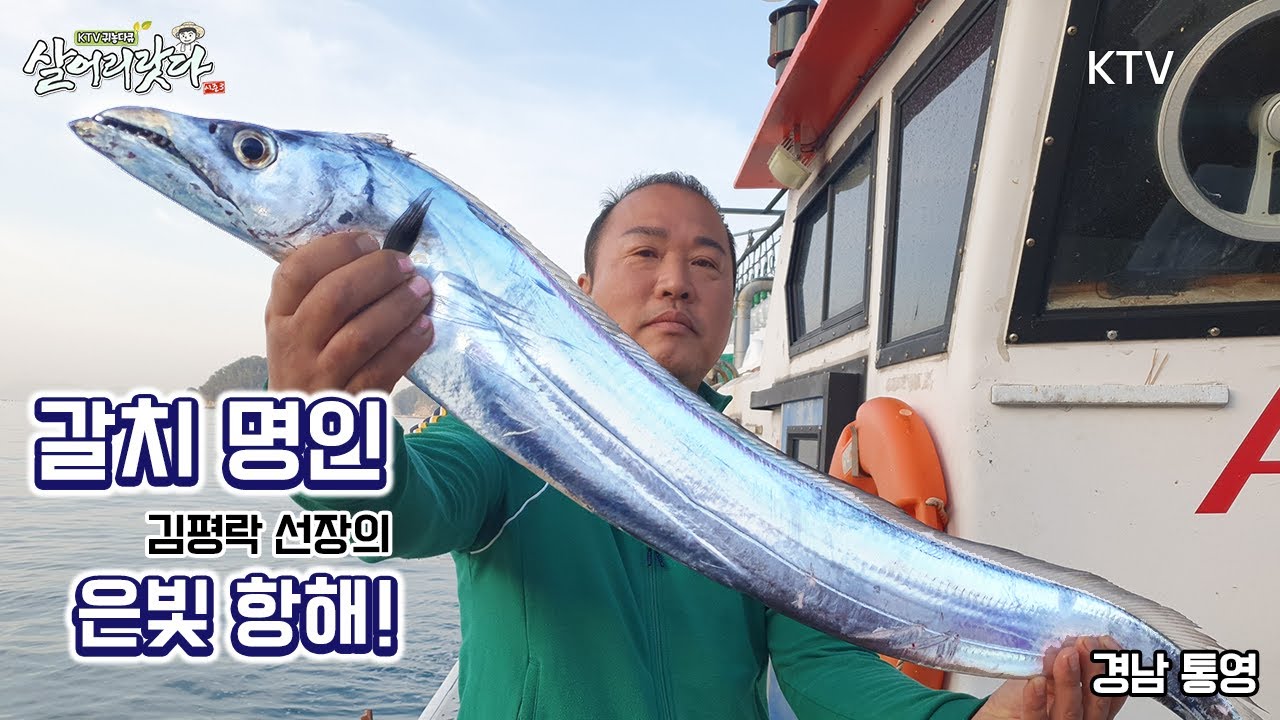 (경남 통영) 통영 갈치잡이 고수, 명인 김평락 선장의 은빛 항해! 잡힐때까지 풍 옮긴다!! 4 ~ 7지 ktv, korea tv, hairtail, bts (통영 산양)(시즌3)