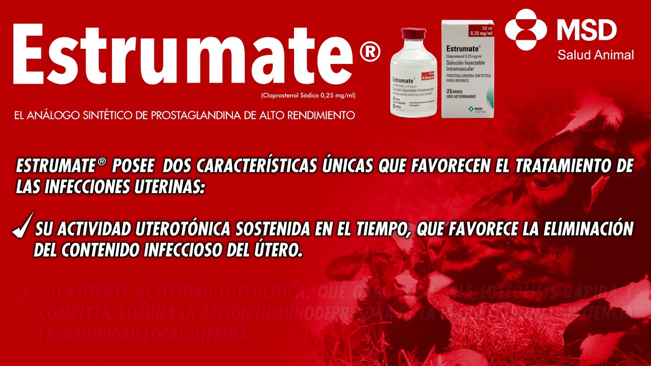 MSD SALUD ANIMAL VIDEO PROMO ESTRUMATE PARA MKTG DIGITAL